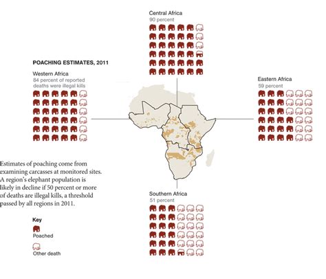 Statistics - Help stop African Elephant Poaching