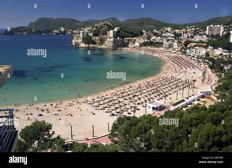 Paguera Beach. Calvià Bereich Küste. Mallorca, Balearen. Spanien Stockfoto, Bild: 60586969 - Alamy