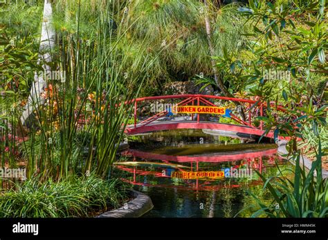 Sunken Gardens 100 year old botanical gardens in St Petersburg Florida ...