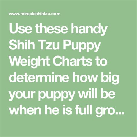 Imperial Shih Tzu Weight Chart