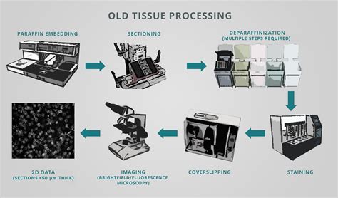 Tissue Processing in the 21st Century: How Can I Incorporate Innovative Techniques to Make My ...