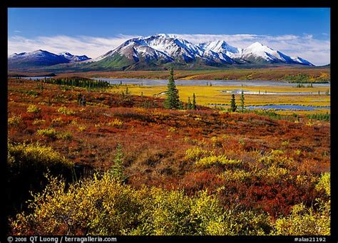 Large Format Picture/Photo: Tundra and snowy mountains. Alaska, USA