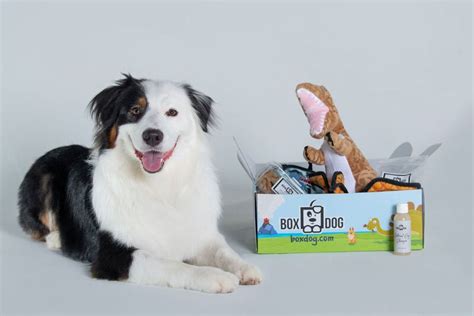 Personalized Pet Subscription Boxes : dog subscription boxes