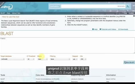 蛋白质数据库uniprot Blast intro_哔哩哔哩_bilibili