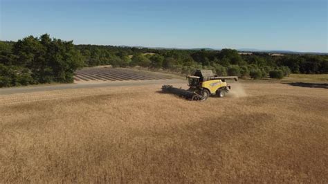 Wheat Harvesting with Tractor in Agriculture Farm Field, Stock Footage