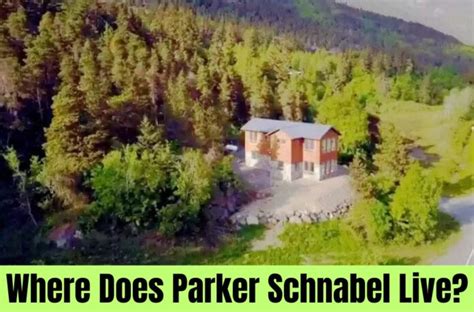 Parker Schnabel House: The Haines Mansion!