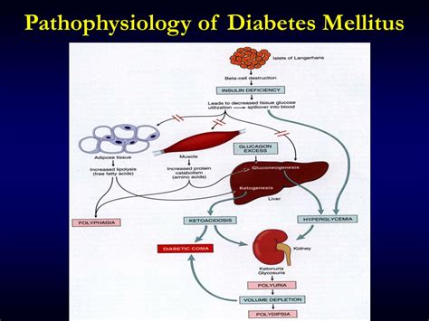 Diabetes Mellitus