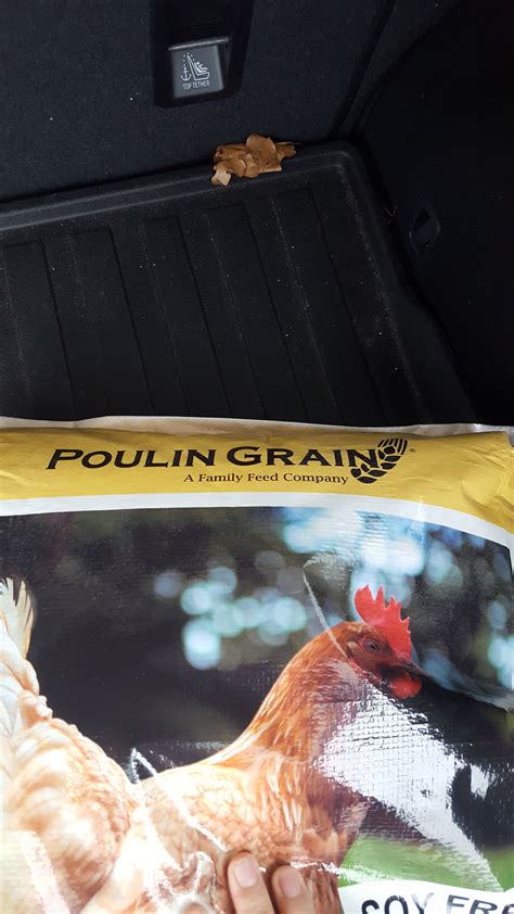 Poulin Grain?? | BackYard Chickens - Learn How to Raise Chickens