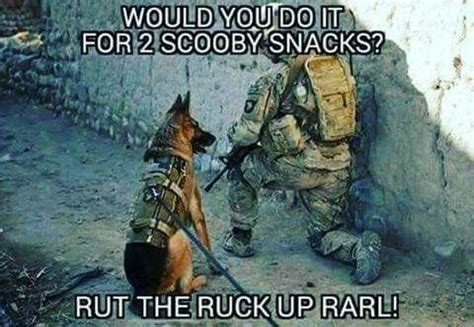 11 military dog memes that are flat-out funny AF | We Are The Mighty