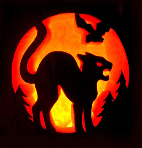 20+30+ Halloween Pumpkin Cat Carving