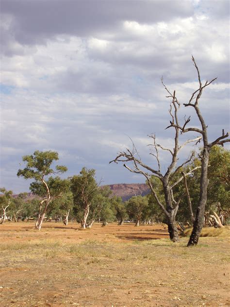 Photo of arid landscape | Free Australian Stock Images