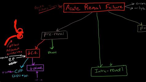 Pathophysiology of Acute Renal Failure - YouTube