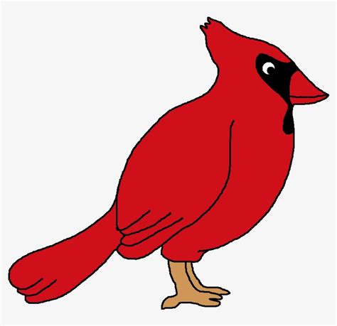 Cardinal Clipart Free - Cardinal Bird Clip Art - 789x730 PNG Download ...