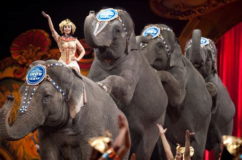 Ringling Bros 'Greatest Show on Earth' circus to stop elephant acts by 2018