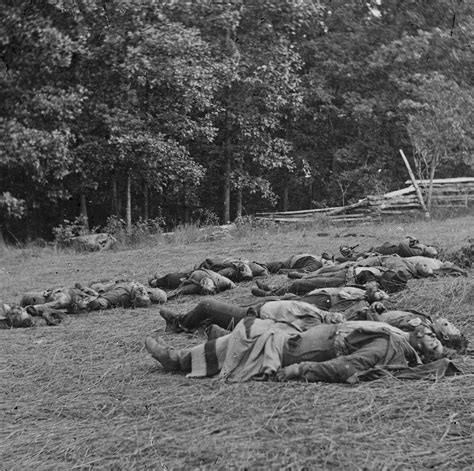 The Chubachus Library of Photographic History: View of Confederate Dead ...