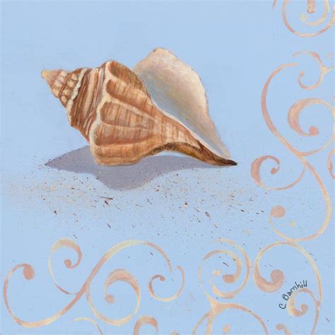 Conch shell on 12x12 canvas, 2012 | Conch shell, Conch, Original art