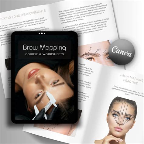 Brow Mapping Canva Editable Manual Tutorial Training Course Eyebrow Measuring Brow Design ...