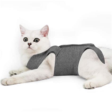 Thundershirt for Cats (Reviews & Buying Guide 2023) - PetsHotSpot.com