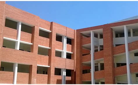 IIM Amritsar records 100% summer placements for second consecutive year