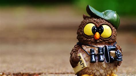 nature, Animals, Birds, Owl, Toy, Toys, Depth Of Field, Hat, Map ...