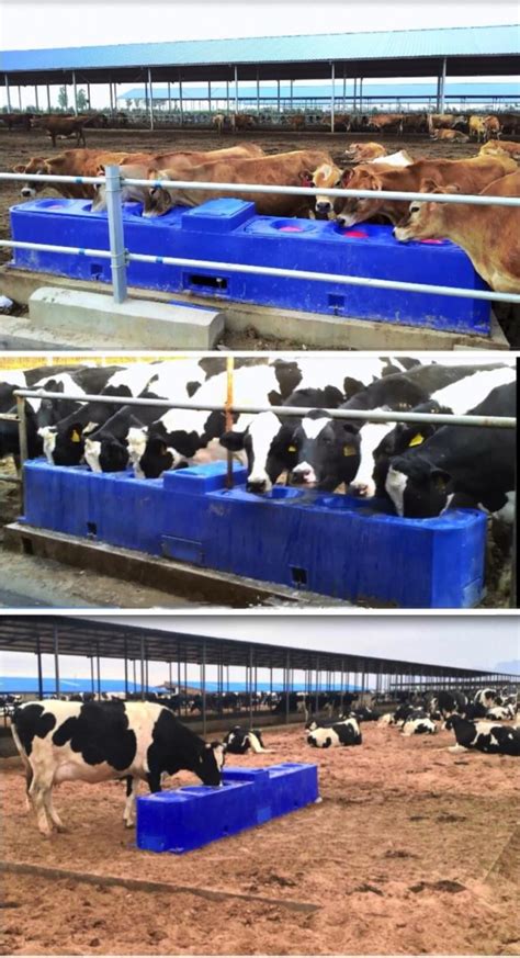 LLDPE Thermo Automatic Water Trough For Cattle / Pig 6M Anti Frost Free ...