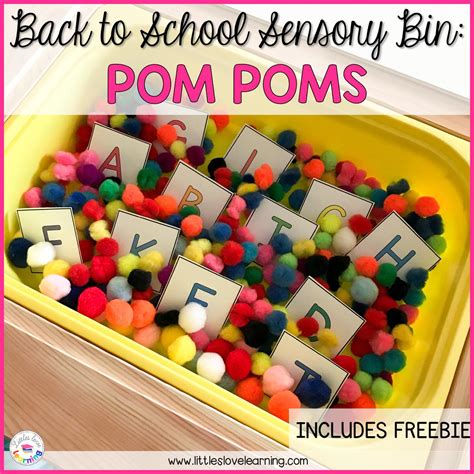 The Easiest Back to School Sensory Bin for Preschool and Pre-K