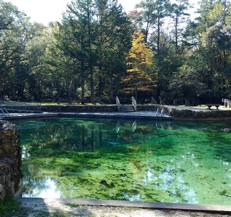 Ponce de Leon Springs State Park - All You Need to Know BEFORE You Go