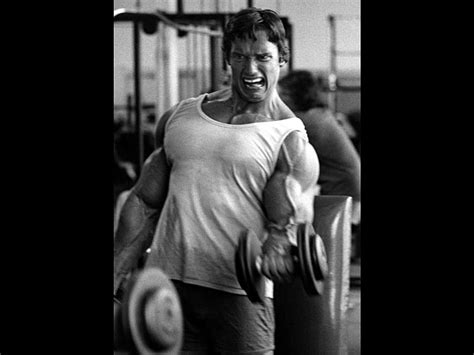 3840x2160px, 4K Free download | Arnold Schwarzenegger Bodybuilding Backgrounds 1 HD wallpaper ...