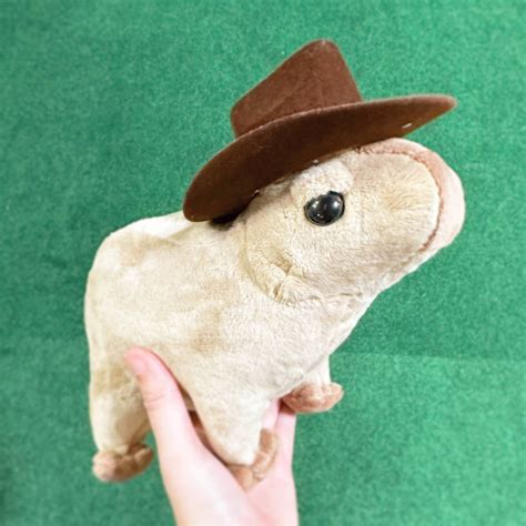 Capybara plush by alpacasews on DeviantArt