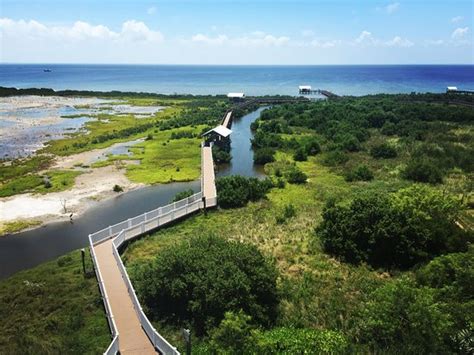 Well kept - South Padre Island Birding and Nature Center, South Padre Island Traveller Reviews ...