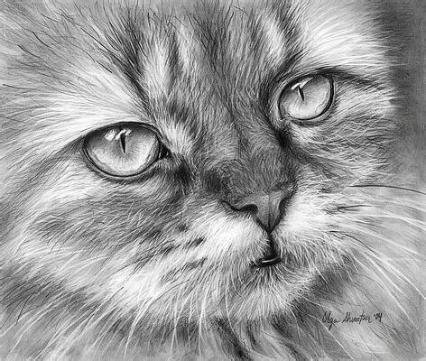 Cat Wall Art (Page #10 of 35) | Fine Art America