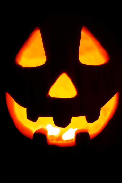 Halloween Pumpkin Faces Free Stock Photo - Public Domain Pictures