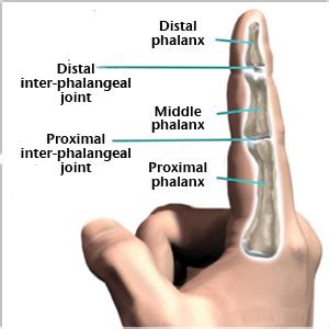 Treatment Options