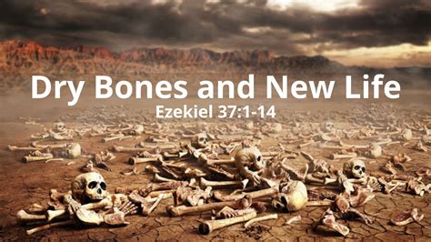 Ezekiel 37:1-14, Dry Bones and New Life – Christ Church of Traverse City