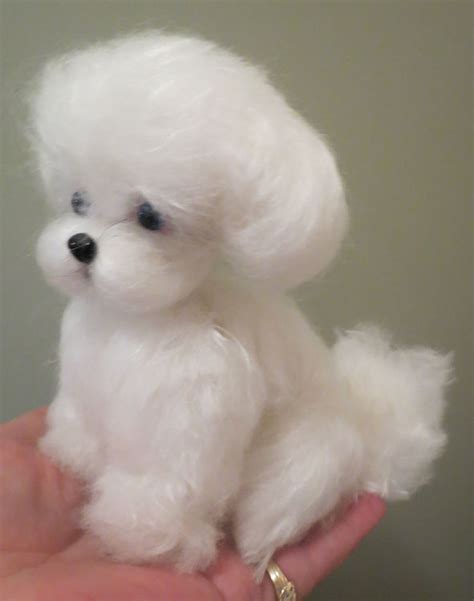 Gallery For > Maltese Puppy Teddy Bear Cut