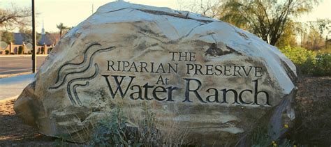 Riparian Preserve at Water Ranch | Gilbert, Arizona