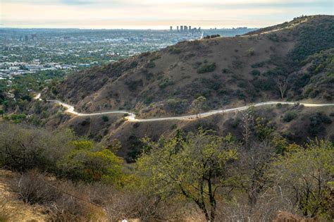 Runyon Canyon Park in Los Angeles - Explore the Beauty of Los Angeles ...