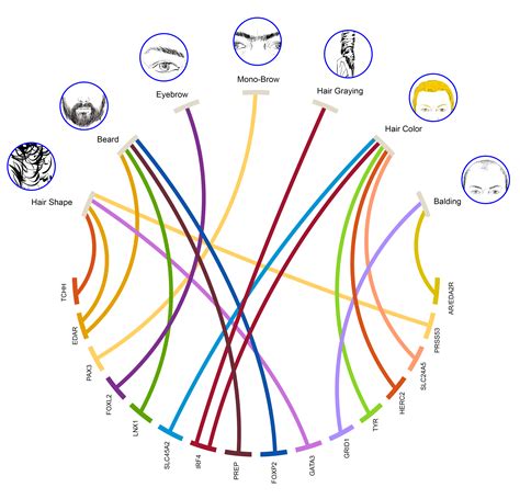 Scientists find genes linked to unibrow, hair color, and more