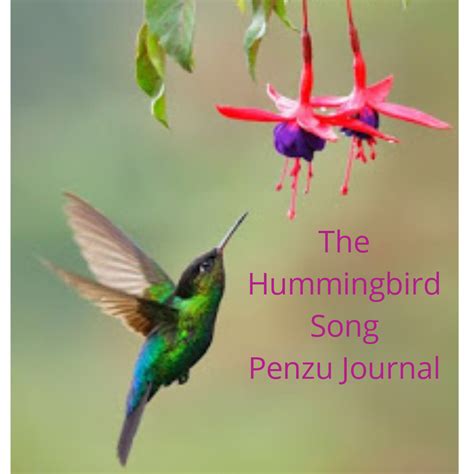 The hummingbird Song