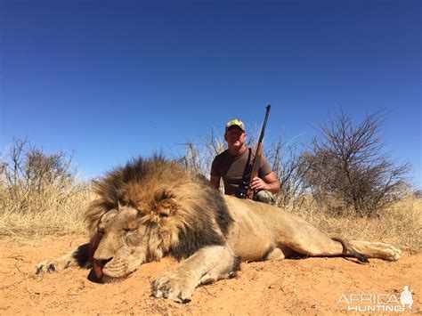 Lion Hunt South Africa | AfricaHunting.com