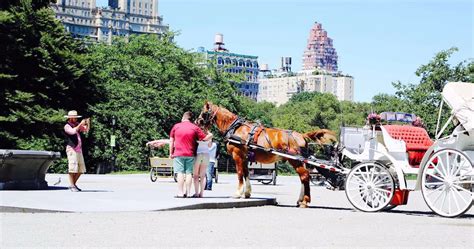 Central Park Carriage Rides | Horse Drawn Carriage NYC