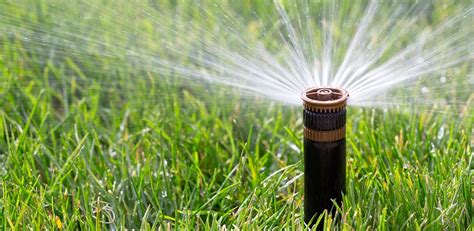 Types of Residential Irrigation Systems | Garden lovers