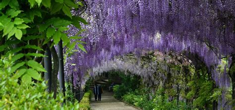 Florence's 6 Best Gardens & Parks