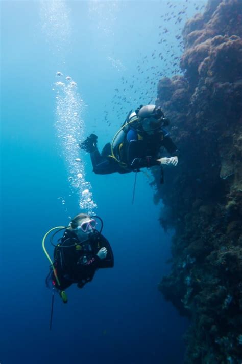 Southern Leyte Diving: Dive Guide To Sogod Bay