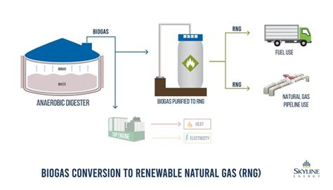 Skyline Energy Explains: The Difference Between Biogas and Renewable ...