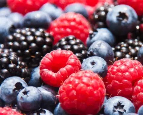 Boost Your Brain Health with Berries: The Key to Aging Gracefully