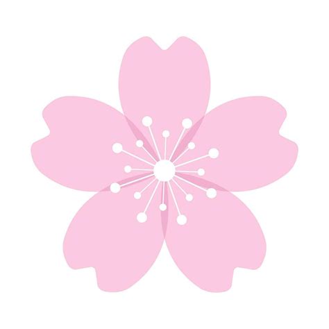 Cherry blossom flower or sakura flat icon. Sakura icon. Pink cherry ...