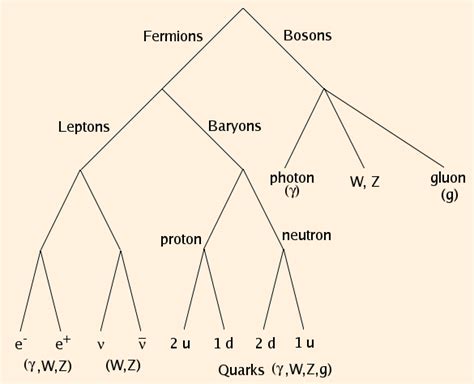 Introduction to Physical Astronomy - Elementary Particles