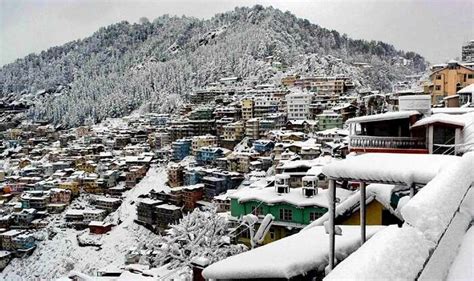 Snowfall Season In Shimla Brings The Winter Charm Already