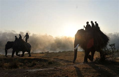 Photo of the Day: Elephant Race | Asia Society